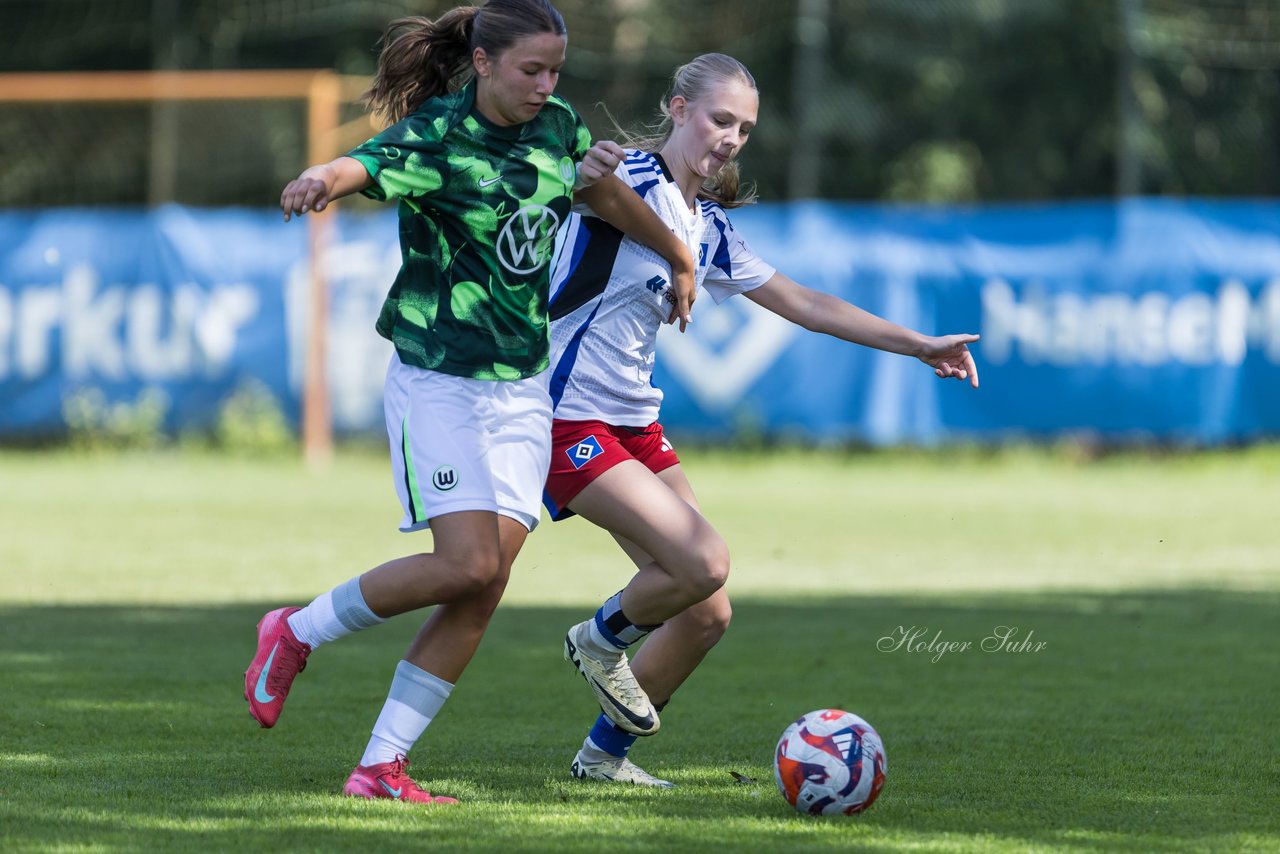Bild 138 - wBJ Hamburger SV - VfL Wolfsburg : Ergebnis: 5:1